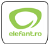 Elefant