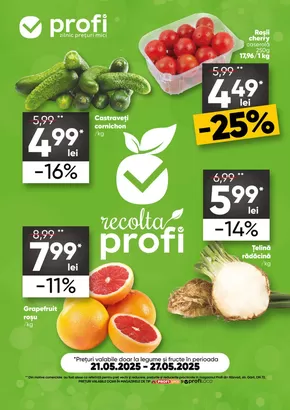 Catalog PROFI Timișoara | Promoții speciale actuale | 2025-05-21T00:00:00.000Z - 2025-05-27T00:00:00.000Z