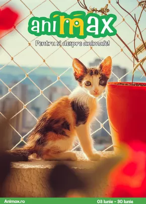 Catalog Animax Tulcea | Catalog Animax 03 - 30 iunie | 2025-06-03T00:00:00.000Z - 2025-06-30T00:00:00.000Z