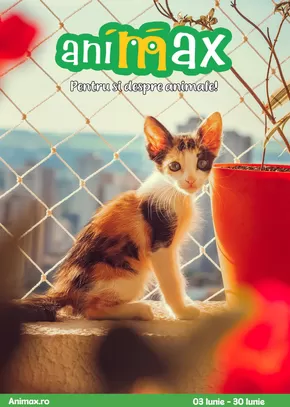 Catalog Animax Tulcea | Catalog Animax | 2025-06-03T00:00:00.000Z - 2025-06-30T00:00:00.000Z