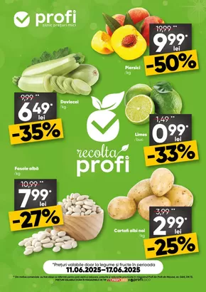 Catalog PROFI | Ofertă grozavă pentru vânătorii de chilipiruri | 2025-06-11T00:00:00.000Z - 2025-06-17T00:00:00.000Z