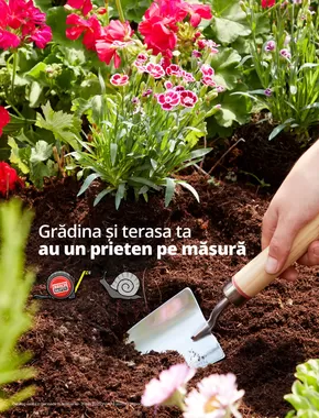 Catalog Brico Depôt | Catalog Semințe | 2025-02-14T00:00:00.000Z - 2025-05-31T00:00:00.000Z