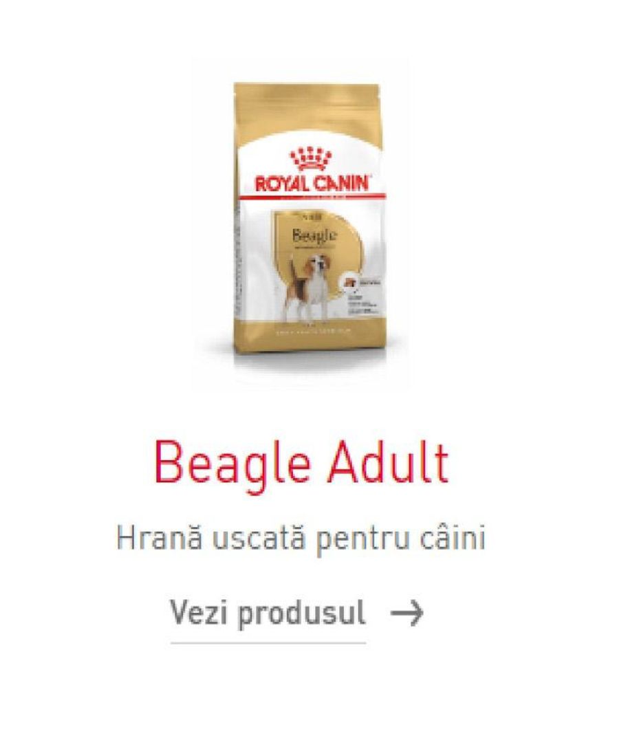 Royal Canin Catalog
